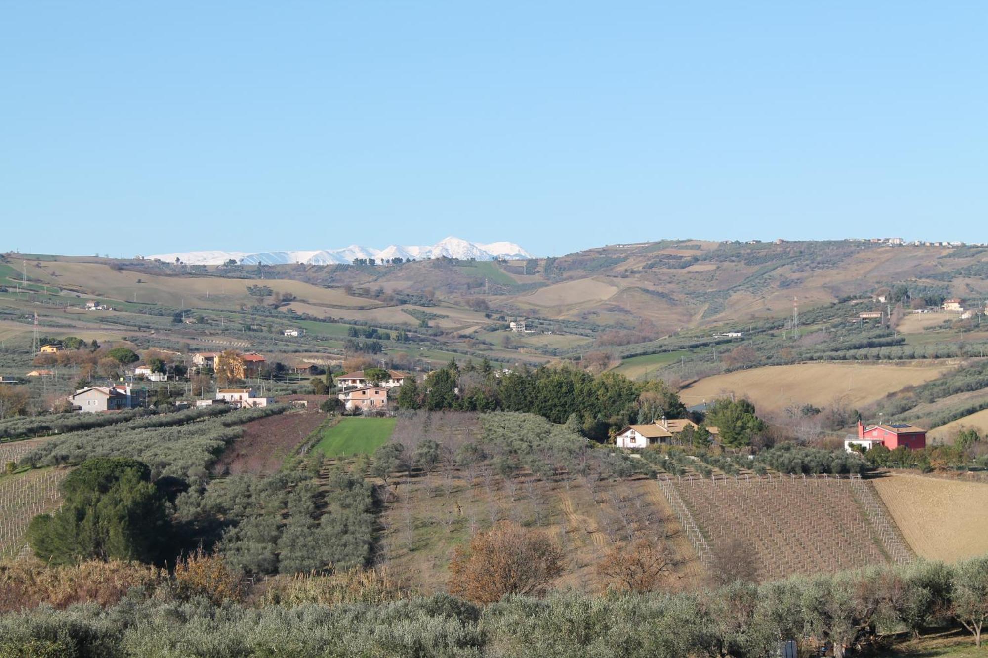Bed and Breakfast Colline Del Sole San Salvo Exteriér fotografie